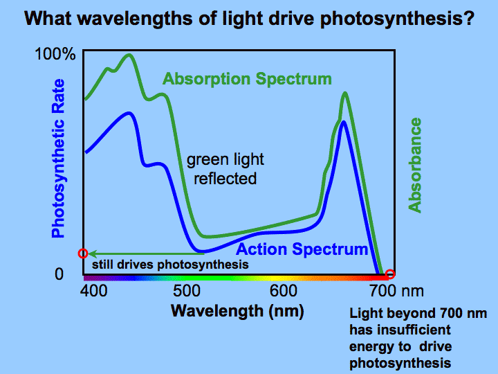 Index Of Images Led H Oª O S W E Ae 2 S W E Ae